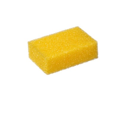 KAJA SPONGE FOR INSECT