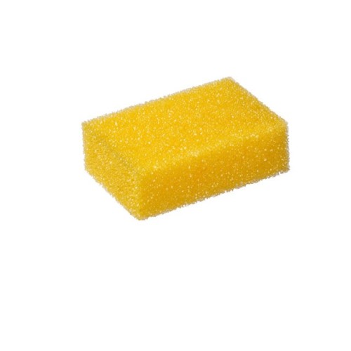 KAJA SPONGE FOR INSECT